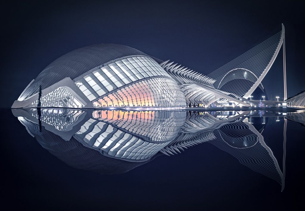 architectural photography water reflection fish by pedro luis