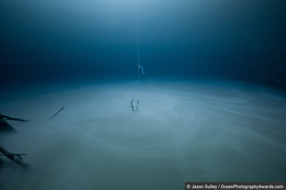 underwater ocean photography by jason gulley