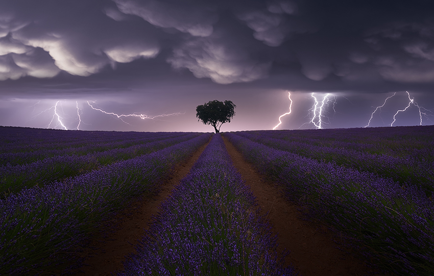 landscape photography thunder storm lavendor by juan lopez ruiz