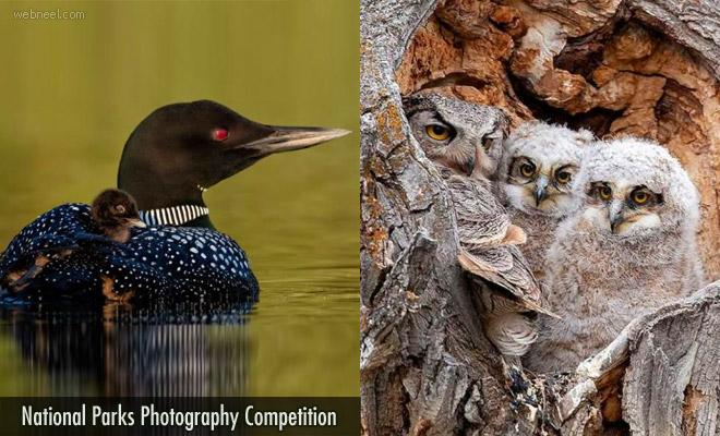 https://news.webneel.com/file/imagecache/preview/blog/2021/national-parks-photo-competition.jpg